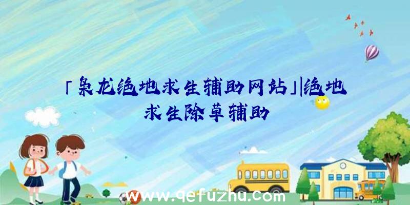 「枭龙绝地求生辅助网站」|绝地求生除草辅助